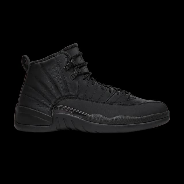 Jordan AJ12 Triple Black